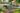 shutterstock_1481200736