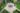 shutterstock_1802690365